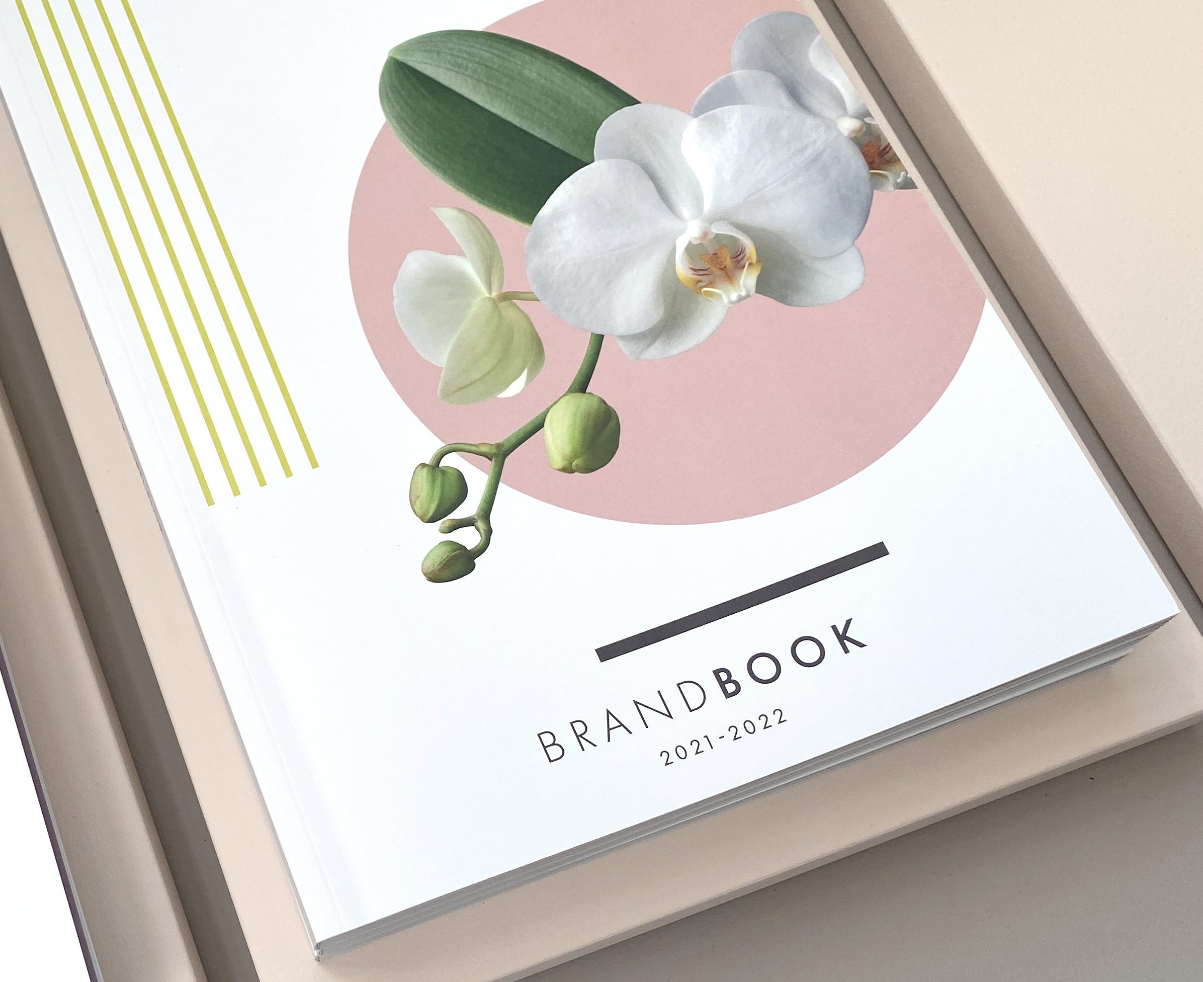 Brandboek, tijdlijn, historie, merk, huisstijl, phaleanopsis, orchidee, opti-flor, Design, ontwerp, Monster, Westland