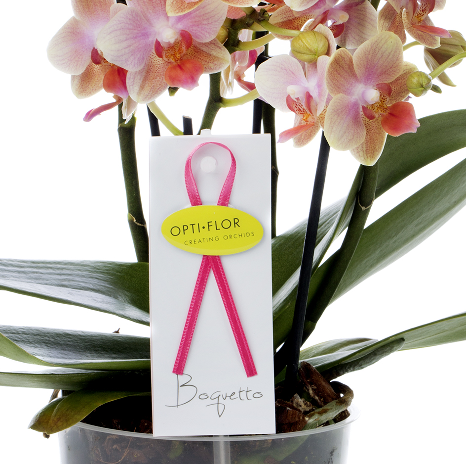 Ontwerp, product branding, Boquetto, logo, verpakking, phaleanopsis, orchidee, Opti-flor, Design, ontwerp, Monster, Westland
