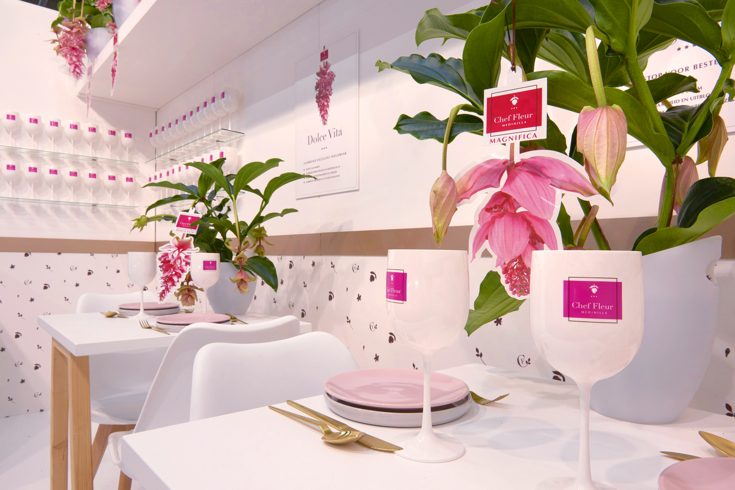Ontwerp, huisstijl, verpakking, branding, product, medinella, ontwerp, Mangoa, Chef Fleur, Westland, Honselersdijk