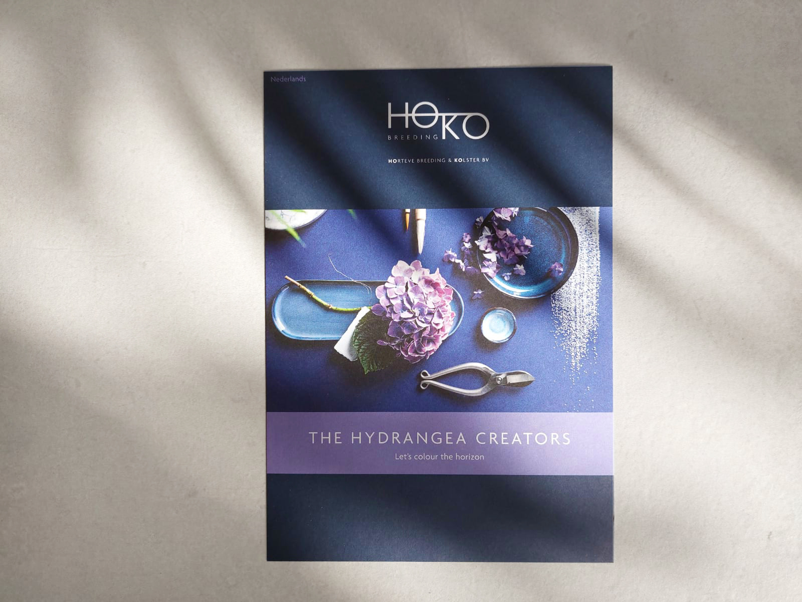 Hoko, Logo, huisstijl, grafisch ontwerp, Branding, hortensia, Boskoop, Mangoa, Visual Identity
