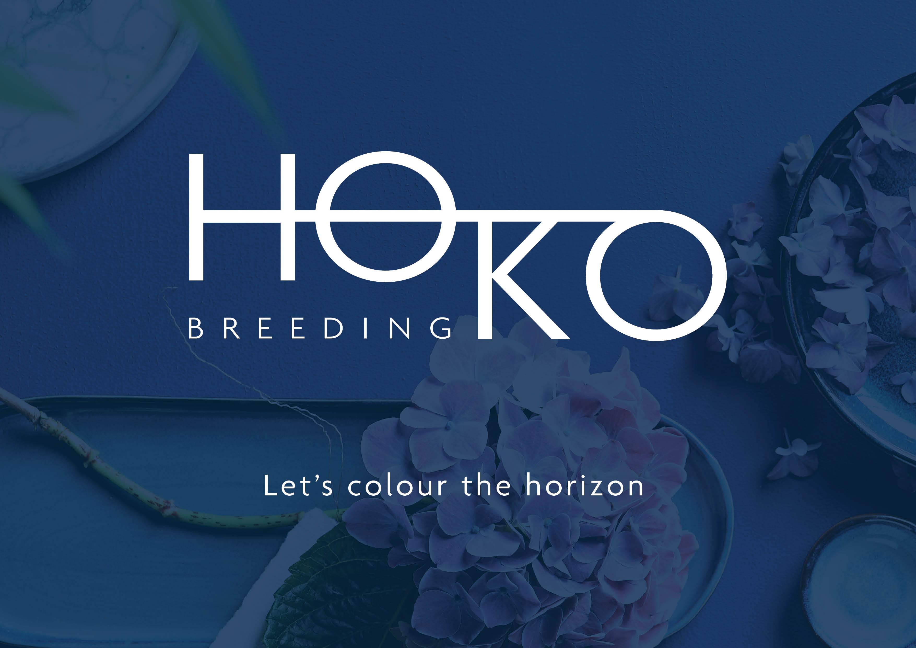Hoko, Logo, huisstijl, grafisch ontwerp, Branding, hortensia, Boskoop, Mangoa, Visual Identity
