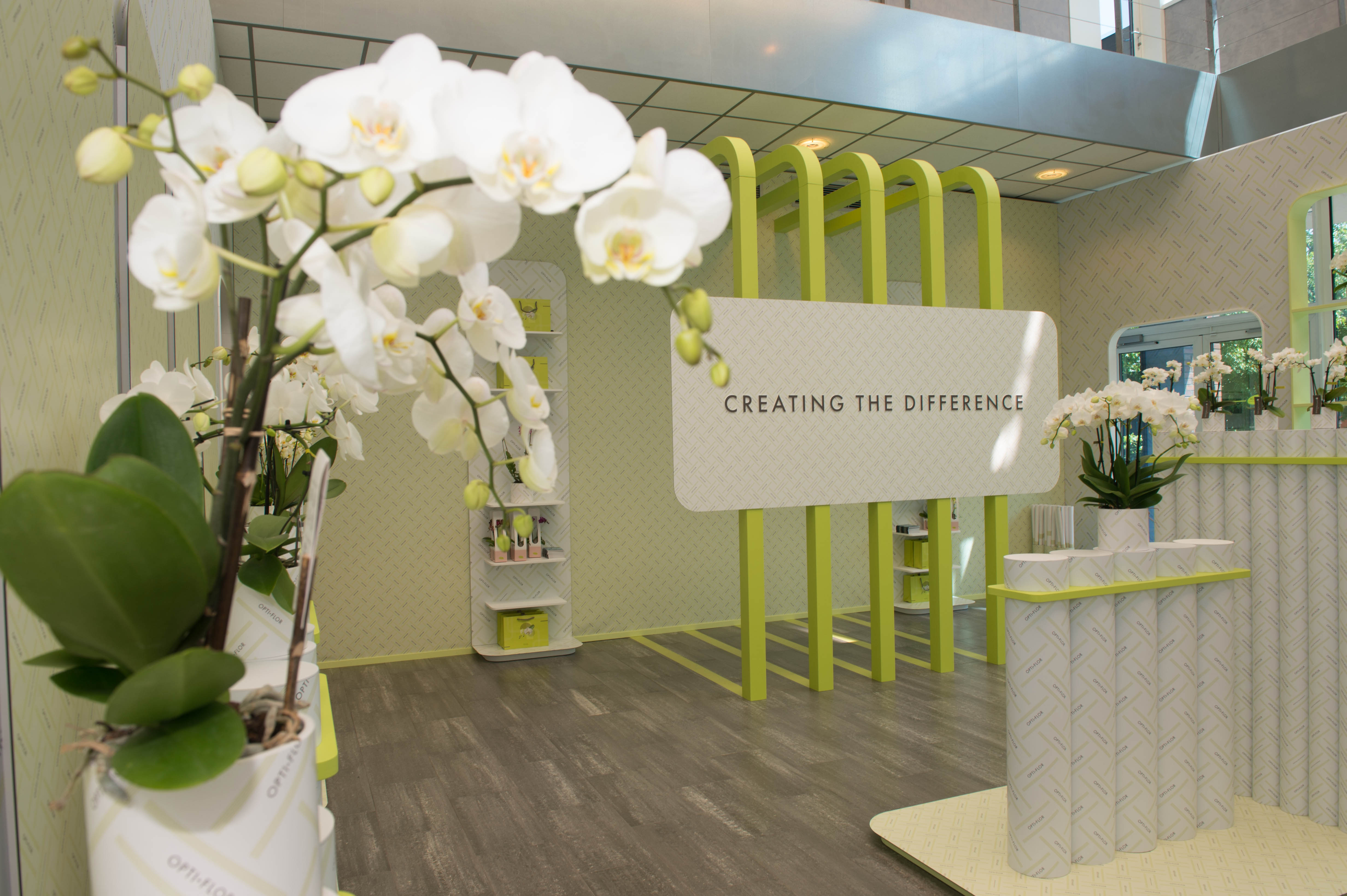Logo, patroon, all-over, allover, dessin, grafisch, ontwerp, Mangoa, Optiflor, Westland, flagship store, luxury