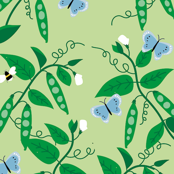 Budget Receptenkalender