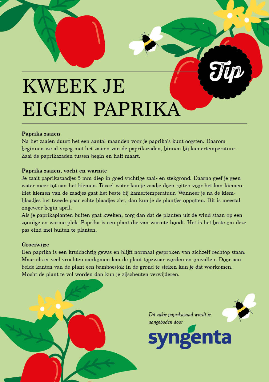 Patroon, ontwerp, illustratie, groente, duurzaamheid, CVD, Rotterdam, Mangoa, design, huisstijl, grafisch ontwerp