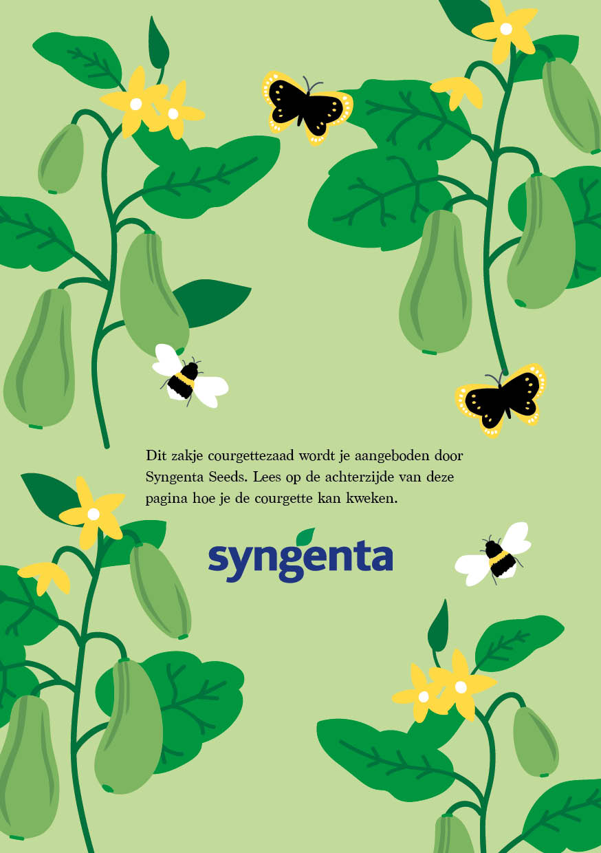 Patroon, ontwerp, illustratie, groente, duurzaamheid, CVD, Rotterdam, Mangoa, design, huisstijl, grafisch ontwerp
