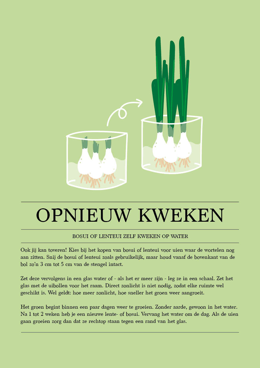 Patroon, ontwerp, illustratie, groente, duurzaamheid, CVD, Rotterdam, Mangoa, design, huisstijl, grafisch ontwerp