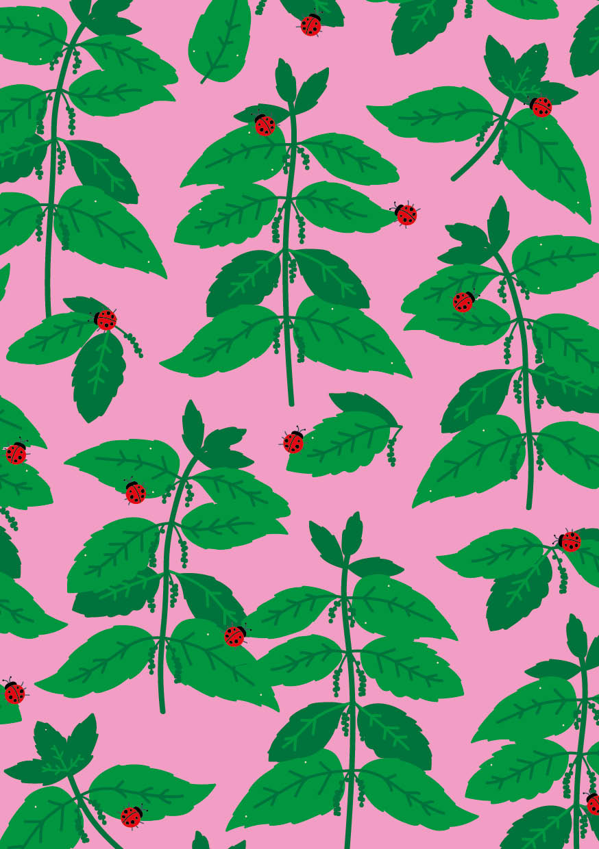 Patroon, ontwerp, illustratie, groente, duurzaamheid, CVD, Rotterdam, Mangoa, design, huisstijl, grafisch ontwerp