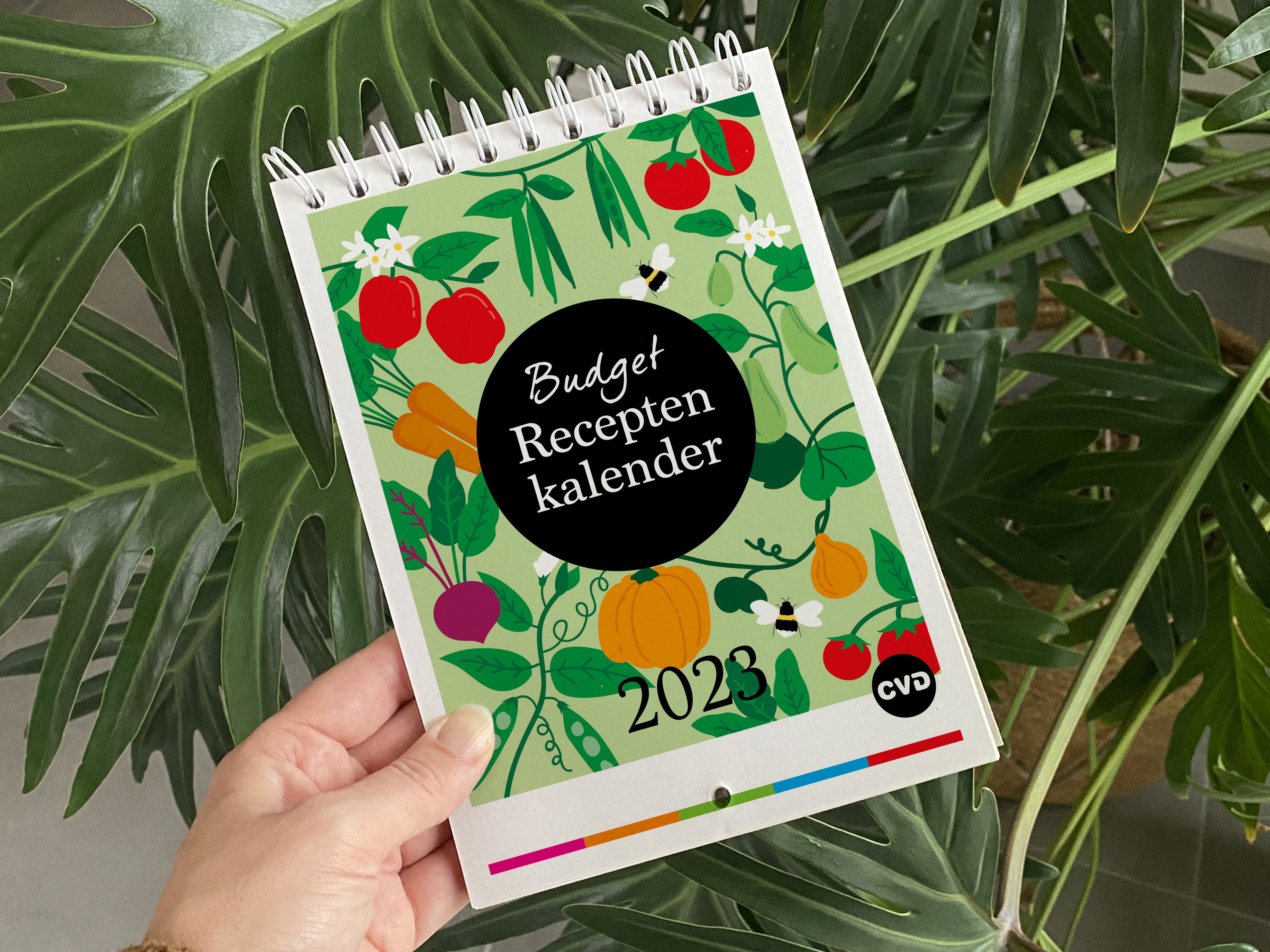 Patroon, ontwerp, illustratie, groente, duurzaamheid, CVD, Rotterdam, Mangoa, design, huisstijl, grafisch ontwerp, kalender, recepten
