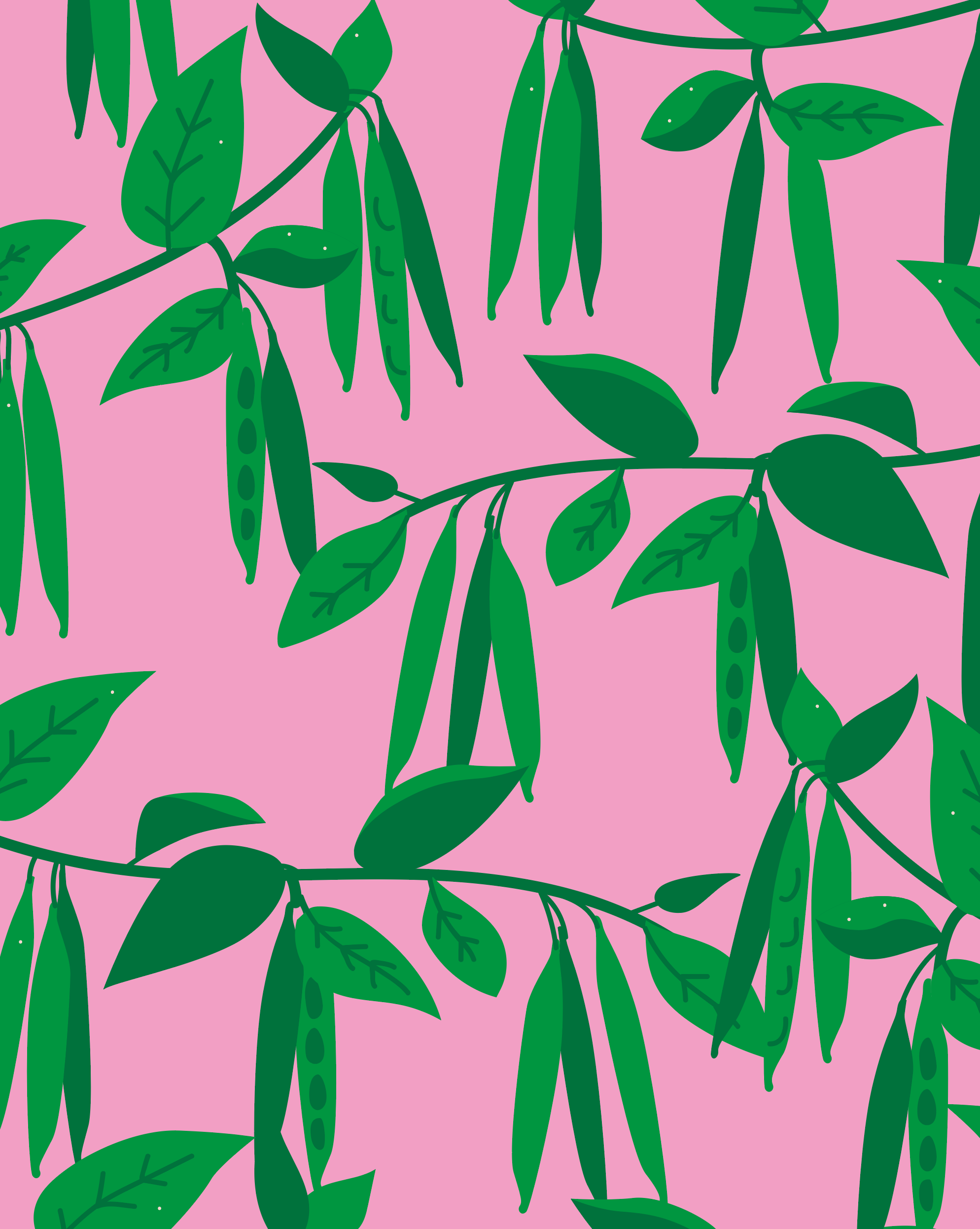 Patroon, ontwerp, illustratie, groente, duurzaamheid, CVD, Rotterdam, Mangoa, design, huisstijl, grafisch ontwerp