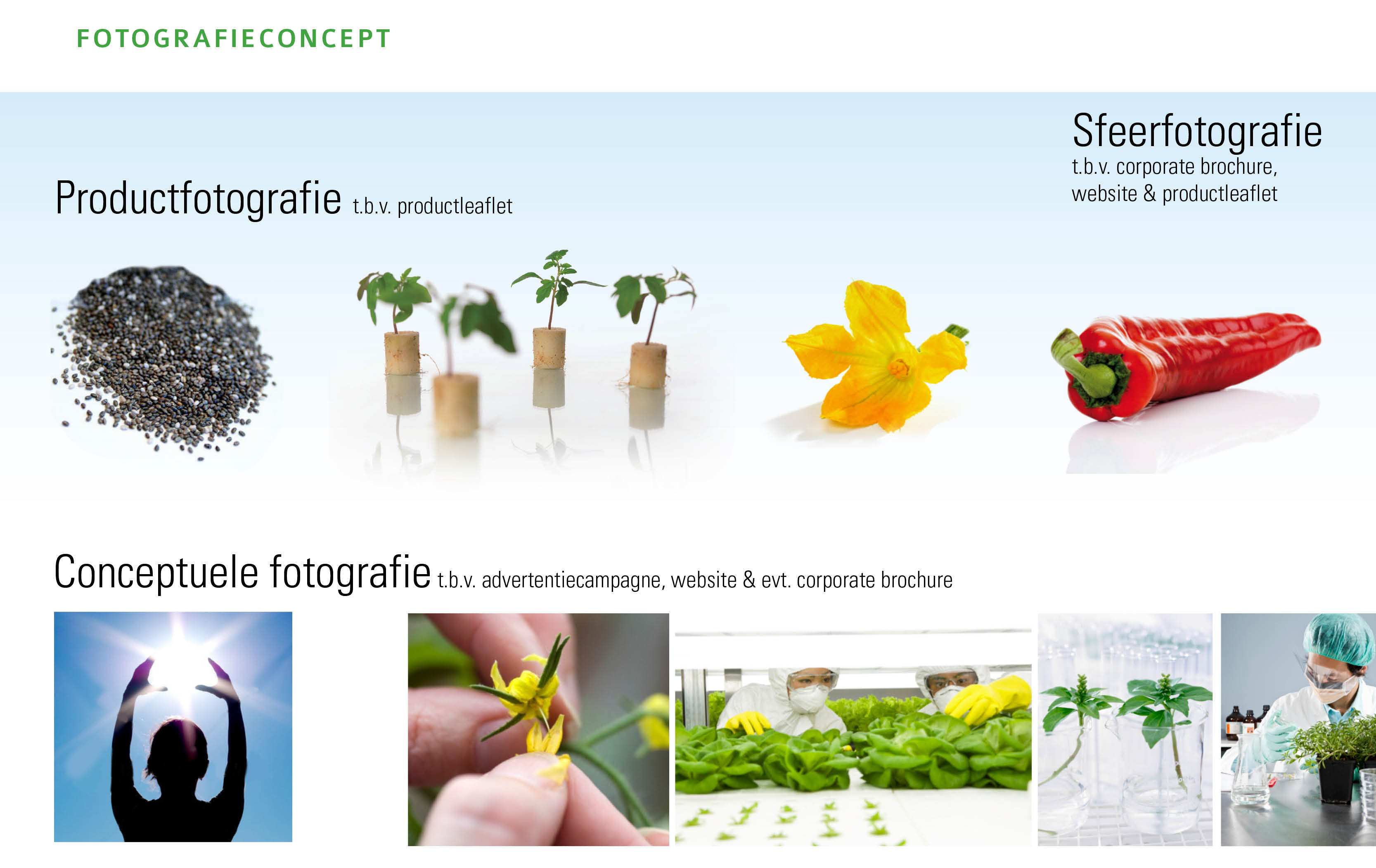 Logo, ontwerp, huisstijl, Axia, Vegetatie Seeds, design, corporate identity, Westland, Naaldwijk, Mangoa