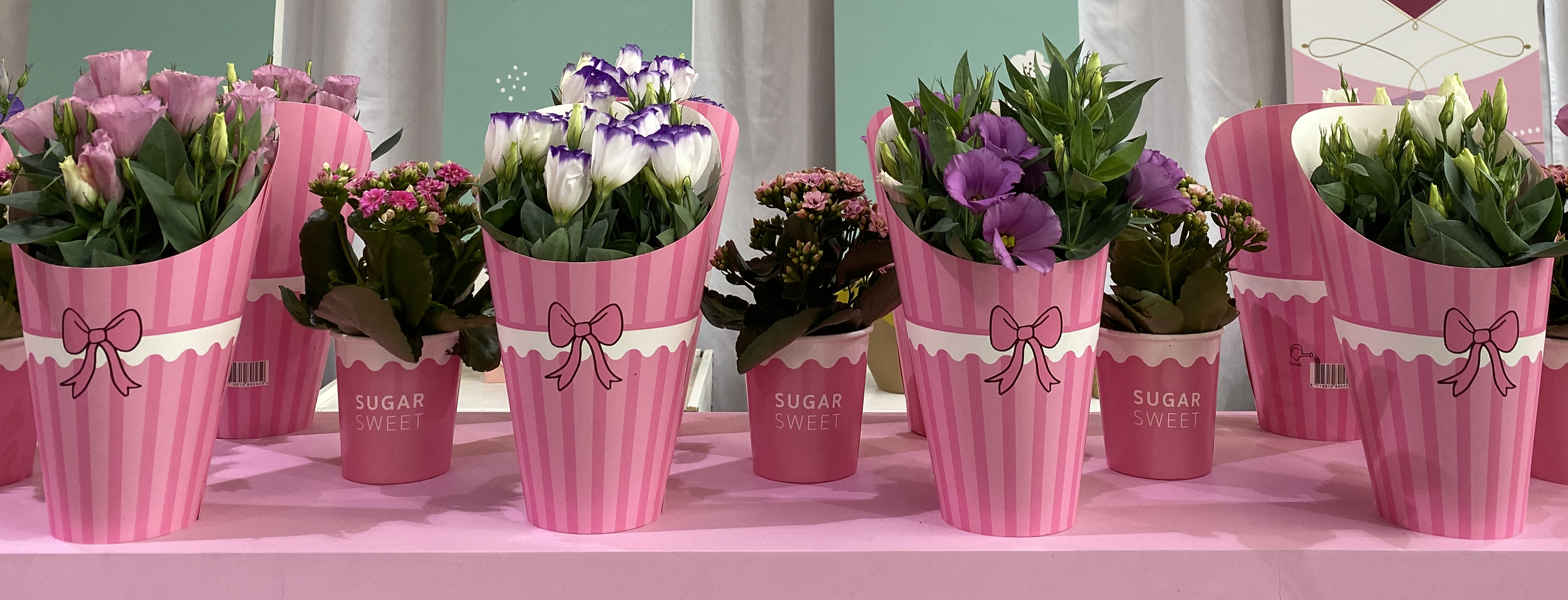 Packaging, verpakking, brand, design, ontwerp, SV.CO, SVCO, MadebyCO, Westland, De Lier, verpakkingsontwerp