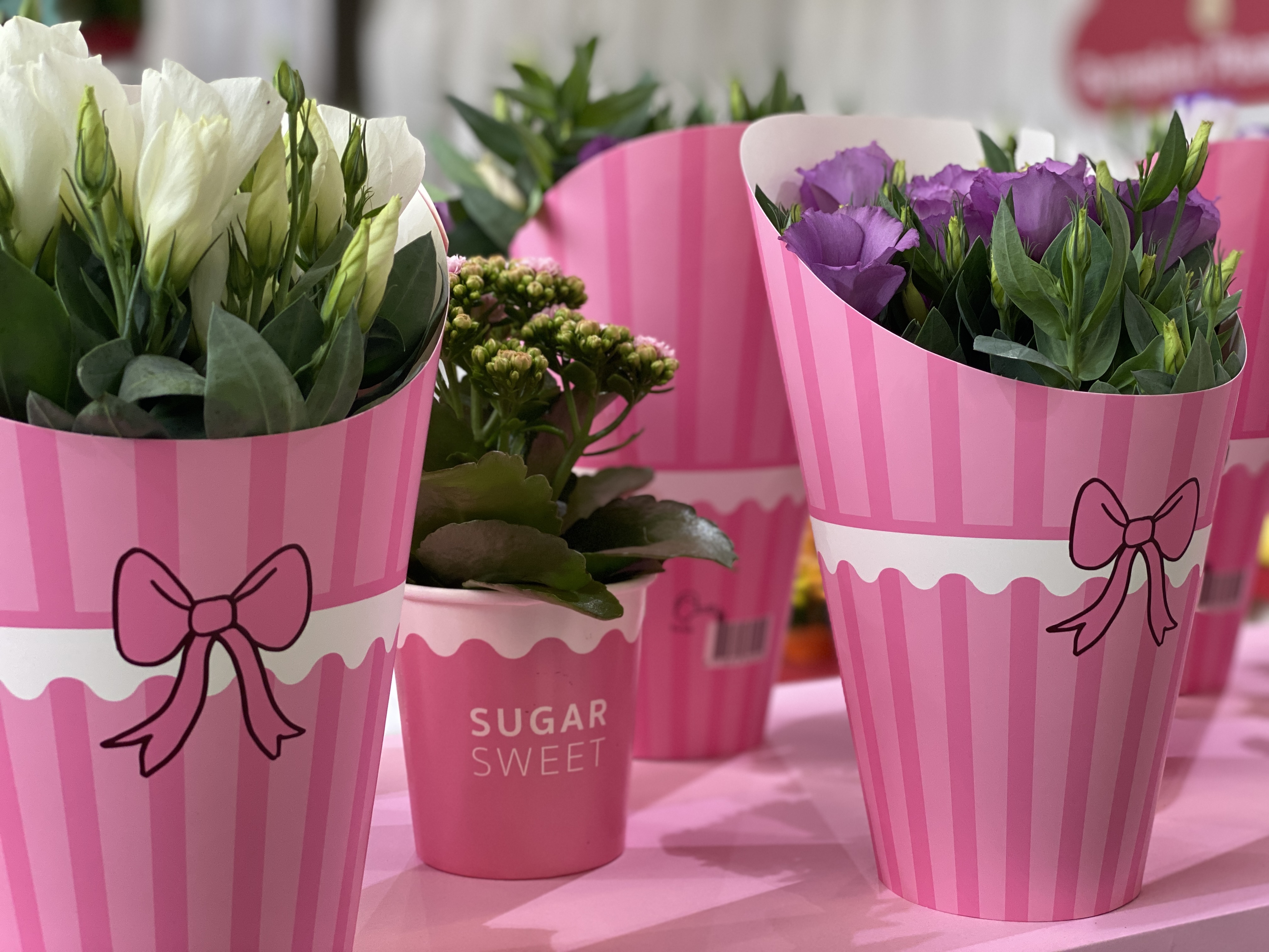 Packaging, verpakking, brand, design, ontwerp, SV.CO, SVCO, MadebyCO, Westland, De Lier, verpakkingsontwerp